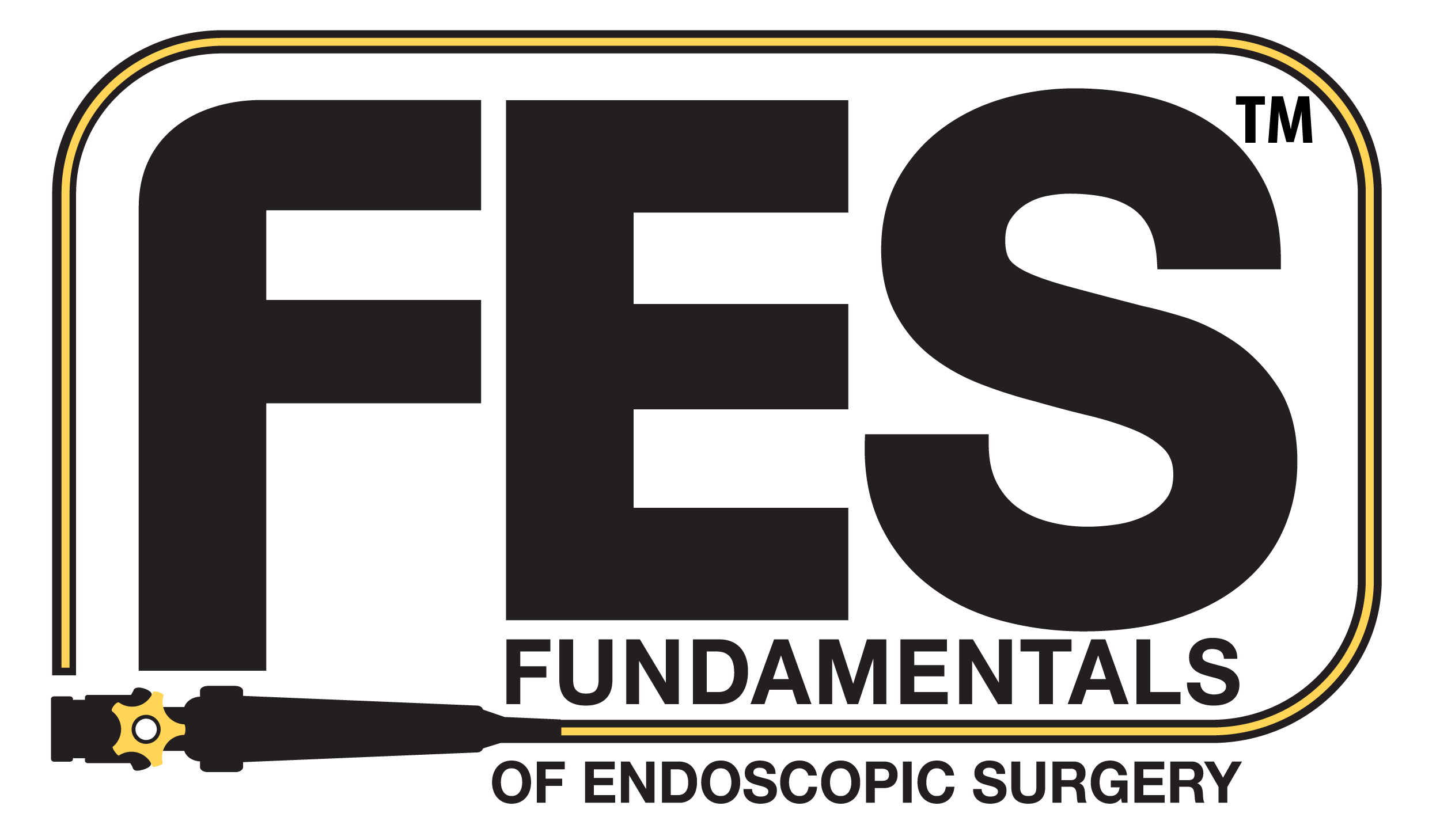 Principes fondamentaux de la chirurgie endoscopique